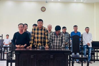 Nhóm tổ chức đá gà ăn tiền lĩnh án