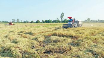 'Hợp sức, hợp vốn' phát triển kinh tế tập thể