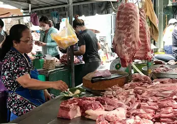 Giá heo hơi hôm nay 03/6: Biến động trái chiều