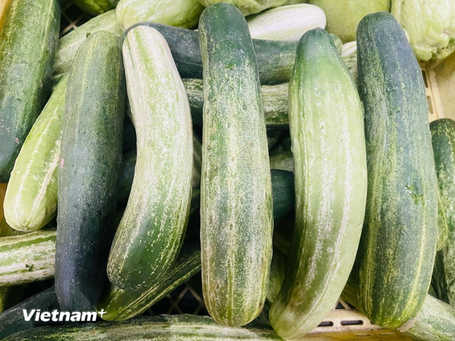 Những loại nước uống giúp giải nhiệt tốt nhất trong ngày Hè