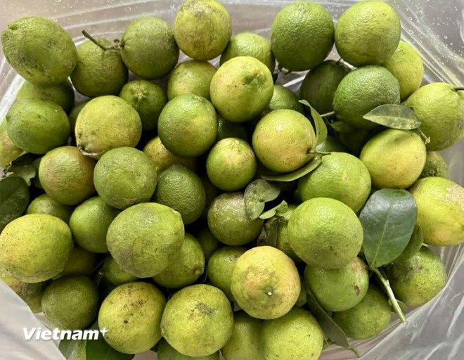 Những loại nước uống giúp giải nhiệt tốt nhất trong ngày Hè