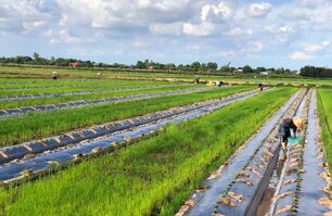 Cuộc sống mới ở Tầm Đuông Cuộc sống mới ở Tầm Đuông