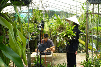 Farmers digitize agricultural products, expand markets