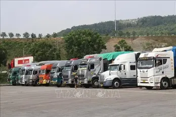 Goods trade via Lao Cai border gates surges to 240 million USD in May