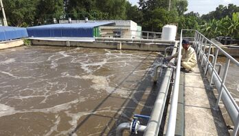 Long An's PGI reaches the top group nationwide