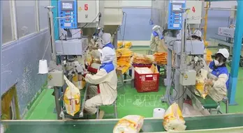 Vietnam among world’s most food-self-sufficient nations: study