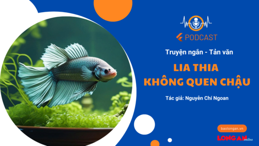 Lia thia không quen chậu