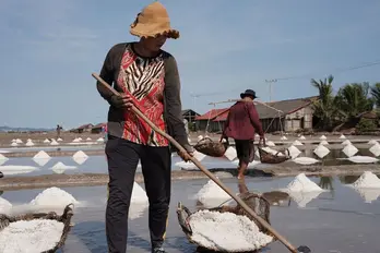 Adverse weather drives fall in Cambodia’s salt production