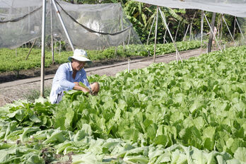 Production adapts to climate change