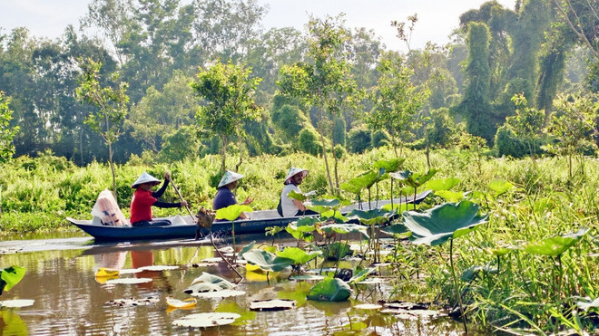 Du lịch Đồng bằng sông Cửu Long: Tạo điểm nhấn từ văn hóa, cảnh quan