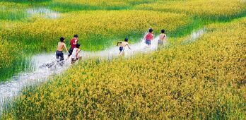 Những ngày hè thú vị