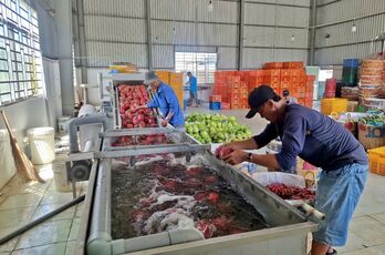 Cooperatives – the leverage for new-style rural construction