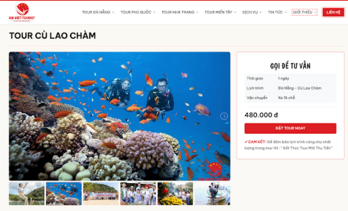 Đại Việt Tourist - Công ty tổ chức tour Cù Lao Chàm từ Đà Nẵng uy tín
