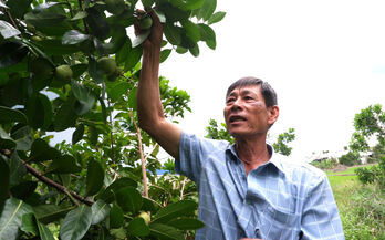 Changing agricultural mindset