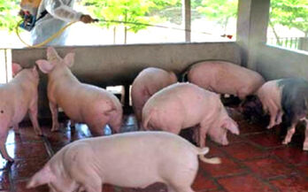 Proactively control environmental pollution in livestock farming