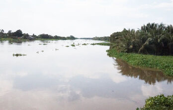 Long An: Chủ động ứng phó với mưa lớn, lũ, triều cường, ngập úng, sạt lở đất