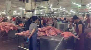 Giá heo hơi hôm nay 30/6: Vào đợt giảm mạnh