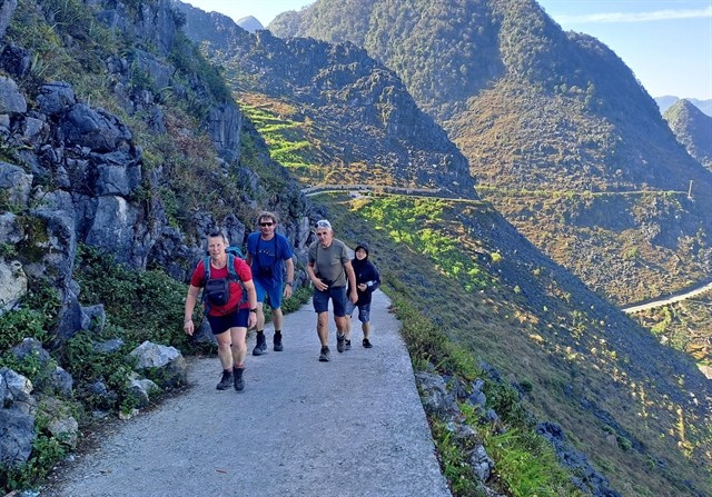 Foreign visitors to Vietnam near 10.7 million in H1, half of full-year target