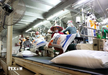 Vietnam’s agricultural exports: rice volume rises, value falls in H1