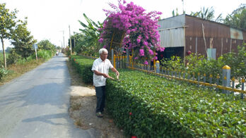Tay Ninh to mobilize more than 280,000 billion VND to build new-style rural areas