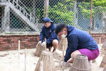 Chàng trai Tây Ninh và hành trình 'hộ sinh' cho rùa biển