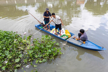 Cá chết hàng loạt tại rạch Tây Ninh