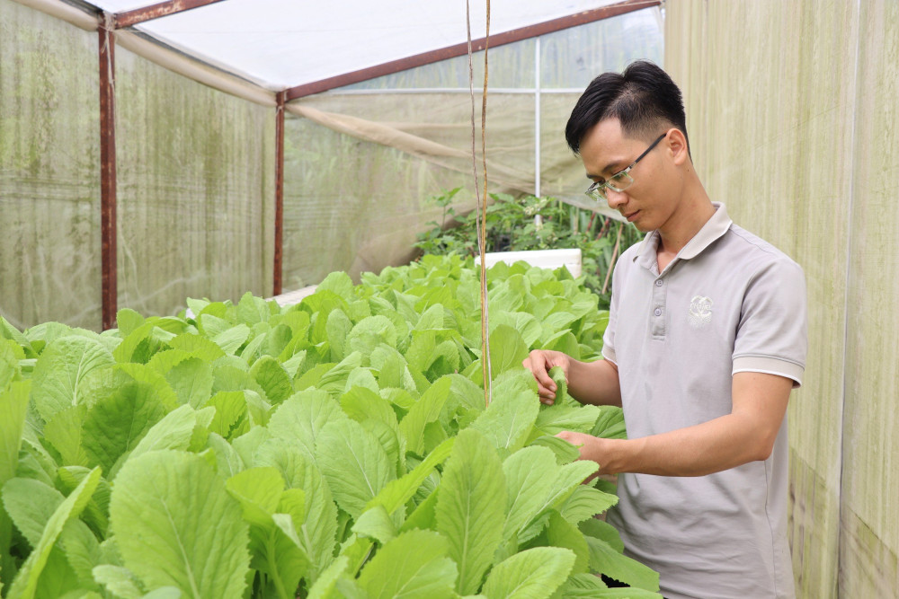 Khởi nghiệp từ nông nghiệp ứng dụng công nghệ cao