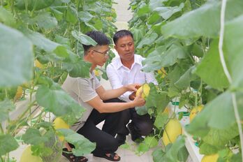 Khởi nghiệp từ nông nghiệp ứng dụng công nghệ cao