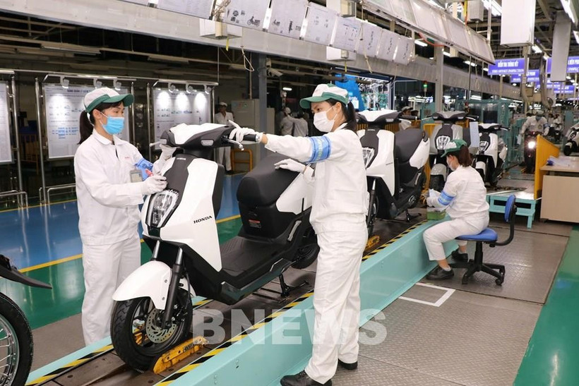 Expert assesses petrol vehicle ban’s impact on domestic auto, motorcycle markets