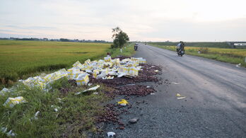 Rác thải tràn lan khu vực đường dẫn lên cầu vượt đường Hồ Chí Minh