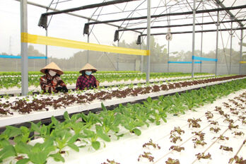 Modern production - The driving force for improving new-style rural areas