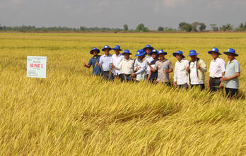 Agricultural extension paves the way for transformation of production mindset