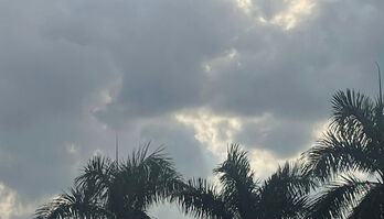 Thời tiết ngày 20/7: Bắc Bộ mưa to cục bộ; bão số 3 giật cấp 14 di chuyển theo hướng Tây Tây Bắc Thời tiết ngày 20/7: Bắc Bộ mưa to cục bộ; bão số 3 giật cấp 14 di chuyển theo hướng Tây Tây Bắc