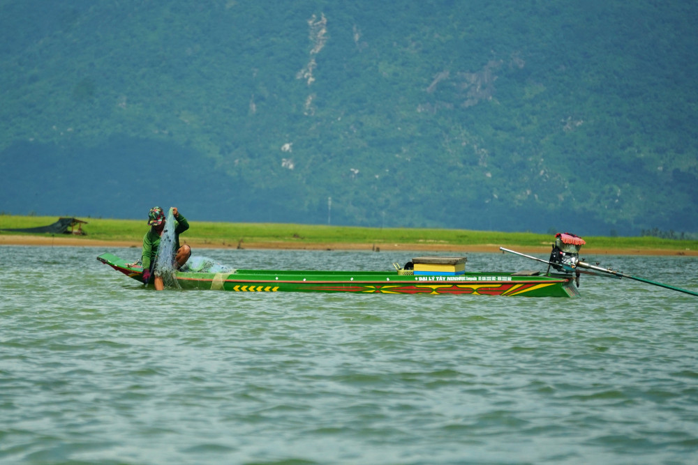 Ngư dân miệt mài thu hoạch cá