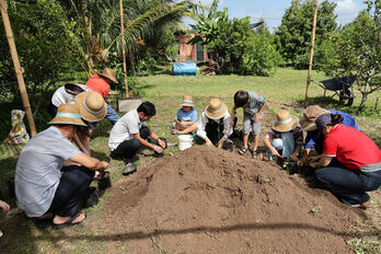 Trồng dâu tằm sạch, làm du lịch xanh