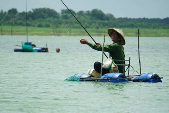 Mưu sinh trong Hồ Dầu Tiếng