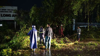 Tây Ninh: Nhiều cây xanh đổ ngã sau mưa lớn Tây Ninh: Nhiều cây xanh đổ ngã sau mưa lớn