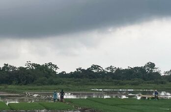 Thời tiết ngày 24/7: Nhiều khu vực trên cả nước có mưa rào và dông Thời tiết ngày 24/7: Nhiều khu vực trên cả nước có mưa rào và dông