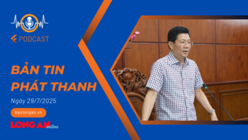 Bản tin phát thanh ngày 29/7/2025