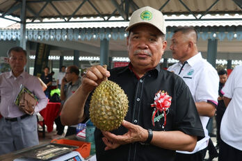 Malaysia’s durian exports strategically poised for growth
