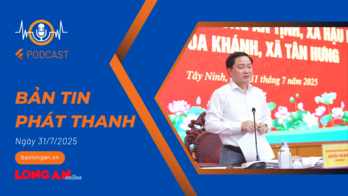 Bản tin phát thanh ngày 31/7/2025