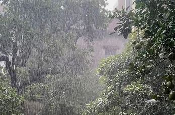 Thời tiết ngày 01/8: Bắc Bộ có mưa rào và dông, cục bộ có nơi mưa to Thời tiết ngày 01/8: Bắc Bộ có mưa rào và dông, cục bộ có nơi mưa to