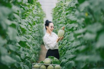 Sản xuất nông nghiệp bền vững gắn với xây dựng nông thôn mới