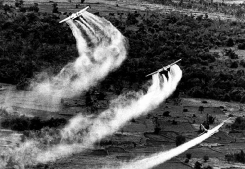 Ngày cho tri ân và công lý