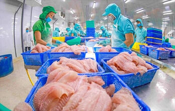Vietnam’s aquatic output reaches 5.5 million tonnes amid push for sustainability