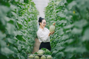 Sustainable agricultural production associated with new-style rural areas construction
