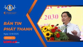 Bản tin phát thanh ngày 12/8/2025