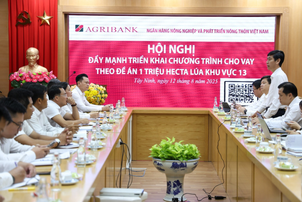 Agribank khu vực Tây Nam Bộ thúc đẩy vay vốn đề án 1 triệu hécta lúa chất lượng cao