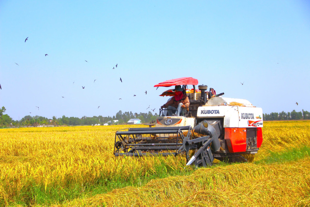 https://www.baolongan.vn/image/news/2025/20250814/images/33_2025-38_987_1246.jpg