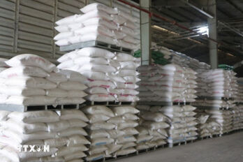 Vietnam projected to become world’s second-largest rice exporter this year